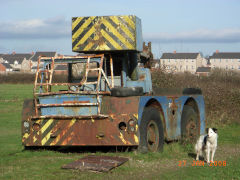 
Pencarn Lane, Newport, Iron Fairy, January 2008